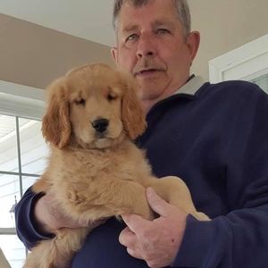 Meet your Posher, David